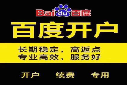 百度推广在旅游行业的应用案例